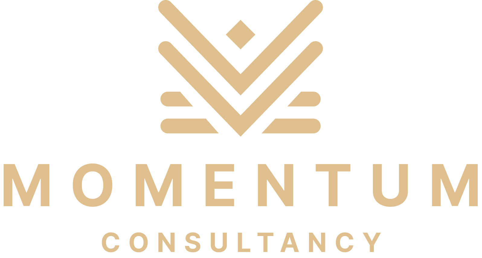 Momentum Business Consultancy - Your One-Stop Digital Marketing Partner